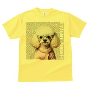 v[h TVc  j[NfUCfB[X t@  t vg lJWA 킢 lԗp Mtg I ҏ΍ Kl v[h Z[^[