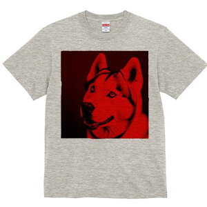 VxAnXL[ TVc  j[NfUCfB[X t@  t vg lJWA 킢 lԗp Mtg I ҏ΍ VxAnXL[