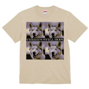 nXL[ TVc  j[NfUCfB[X t@  t vg lJWA 킢 lԗp Mtg I ҏ΍ nXL[