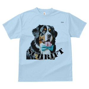 o[j[Y}EehbO TVc  j[NfUCfB[X t@  t vg lJWA 킢 lԗp Mtg I ҏ΍ lN^C o[j[Y}E