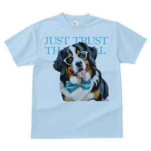 o[j[Y}EehbO TVc  j[NfUCY LbY t@  t vg lJWA 킢 lԗp Mtg I ҏ΍ Kl o[j[Y}E