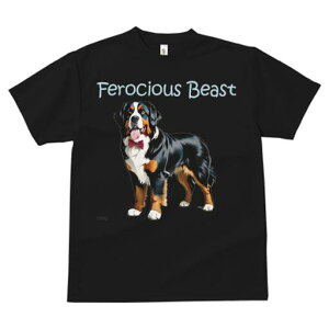 o[j[Y}EehbO TVc  j[NfUCfB[X t@  t vg lJWA 킢 lԗp Mtg I ҏ΍ lN^C o[j[Y}E