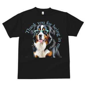 o[j[Y}EehbO TVc  j[NfUCY LbY t@  t vg lJWA 킢 lԗp Mtg I ҏ΍ Kl o[j[Y}E