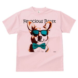 R[M[ TVc  j[NfUCfB[X t@  t vg lJWA 킢 lԗp Mtg I ҏ΍ TOX R[M[ lN^C