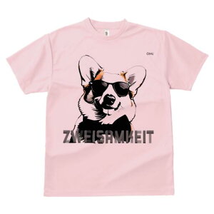 R[M[ TVc  j[NfUCfB[X t@  t vg lJWA 킢 lԗp Mtg I ҏ΍ TOX R[M[