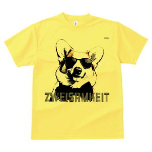 R[M[ TVc  j[NfUCfB[X t@  t vg lJWA 킢 lԗp Mtg I ҏ΍ TOX R[M[