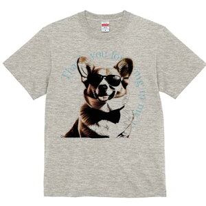 R[M[ TVc  j[NfUCfB[X t@  t vg lJWA 킢 lԗp Mtg I ҏ΍ TOX R[M[ lN^C