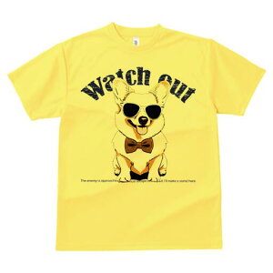 R[M[ TVc  j[NfUCfB[X t@  t vg lJWA 킢 lԗp Mtg I ҏ΍ TOX R[M[ lN^C