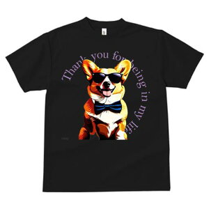 R[M[ TVc  j[NfUCfB[X t@  t vg lJWA 킢 lԗp Mtg I ҏ΍ TOX R[M[ lN^C