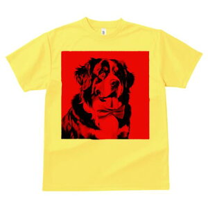 o[j[Y}EehbO TVc  j[NfUCY LbY t@  t vg lJWA 킢 lԗp Mtg I ҏ΍ lN^C o[j[Y}