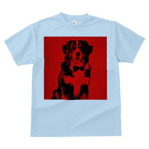 o[j[Y}EehbO TVc  j[NfUCfB[X t@  t vg lJWA 킢 lԗp Mtg I ҏ΍ lN^C o[j[Y}E