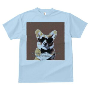 R[M[ TVc  j[NfUCfB[X t@  t vg lJWA 킢 lԗp Mtg I ҏ΍ TOX R[M[ lN^C