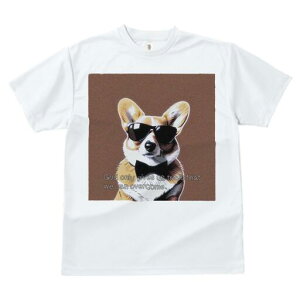 R[M[ TVc  j[NfUCfB[X t@  t vg lJWA 킢 lԗp Mtg I ҏ΍ TOX R[M[ lN^C