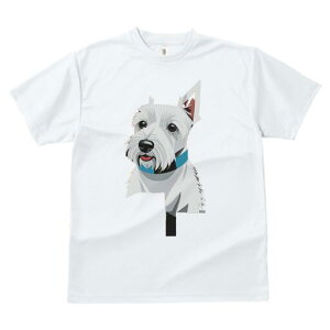 EGXgnChzCgeA TVc  j[NfUCY LbY t@  t vg lJWA 킢 lԗp Mtg I ҏ΍  EGXgnC