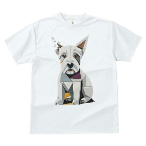 EGXgnChzCgeA TVc  j[NfUCfB[X t@  t vg lJWA 킢 lԗp Mtg I ҏ΍ 􉽊wI EGXgnC