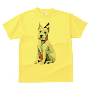 EGXgnChzCgeA TVc  j[NfUCfB[X t@  t vg lJWA 킢 lԗp Mtg I ҏ΍ 􉽊w͗l EGXgn