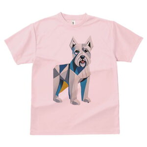 EGXgnChzCgeA TVc  j[NfUCfB[X t@  t vg lJWA 킢 lԗp Mtg I ҏ΍ 􉽊wI EGXgnC