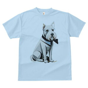 EGXgnChzCgeA TVc  j[NfUCfB[X t@  t vg lJWA 킢 lԗp Mtg I ҏ΍ lN^C EGXgnC