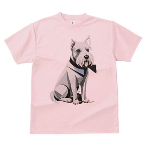 EGXgnChzCgeA TVc  j[NfUCfB[X t@  t vg lJWA 킢 lԗp Mtg I ҏ΍ lN^C EGXgnC