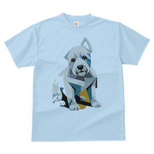 EGXgnChzCgeA TVc  j[NfUCfB[X t@  t vg lJWA 킢 lԗp Mtg I ҏ΍ EGXgnChz