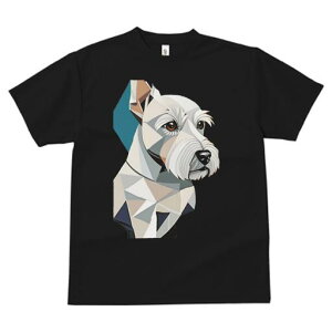 EGXgnChzCgeA TVc  j[NfUCfB[X t@  t vg lJWA 킢 lԗp Mtg I ҏ΍ 􉽊wI EGXgnC