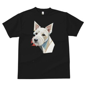 EGXgnChzCgeA TVc  j[NfUCY LbY t@  t vg lJWA 킢 lԗp Mtg I ҏ΍ EGXgnCh