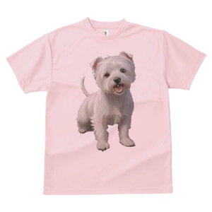 EGXgnChzCgeA TVc  j[NfUCfB[X t@  t vg lJWA 킢 lԗp Mtg I ҏ΍  EGXgnCh