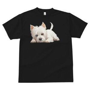 EGXgnChzCgeA TVc  j[NfUCfB[X t@  t vg lJWA 킢 lԗp Mtg I ҏ΍ EGXgnChz