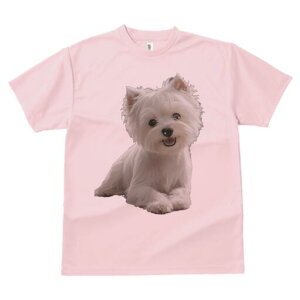 EGXgnChzCgeA TVc  j[NfUCY LbY t@  t vg lJWA 킢 lԗp Mtg I ҏ΍ EGXgnCh