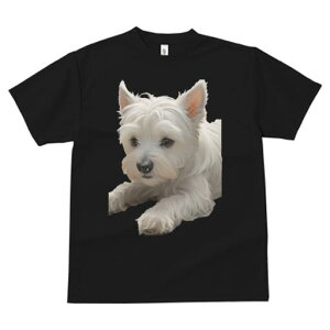 EGXgnChzCgeA TVc  j[NfUCfB[X t@  t vg lJWA 킢 lԗp Mtg I ҏ΍ EGXgnChz