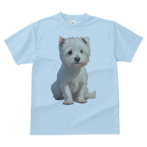 EGXgnChzCgeA TVc  j[NfUCfB[X t@  t vg lJWA 킢 lԗp Mtg I ҏ΍ EGXgnChz