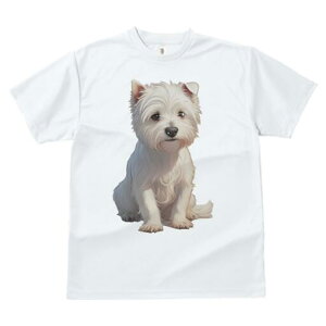 EGXgnChzCgeA TVc  j[NfUCfB[X t@  t vg lJWA 킢 lԗp Mtg I ҏ΍ EGXgnChz