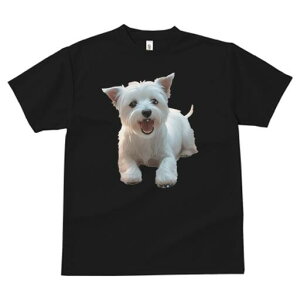 EGXgnChzCgeA TVc  j[NfUCfB[X t@  t vg lJWA 킢 lԗp Mtg I ҏ΍ EGXgnChz