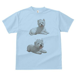 EGXgnChzCgeA TVc  j[NfUCfB[X t@  t vg lJWA 킢 lԗp Mtg I ҏ΍ EGXgnChz