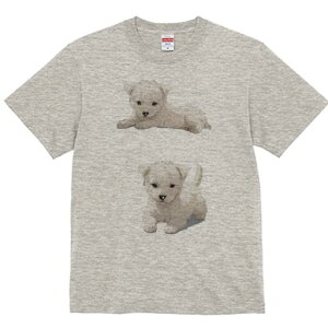 EGXgnChzCgeA TVc  j[NfUCfB[X t@  t vg lJWA 킢 lԗp Mtg I ҏ΍ EGXgnChz