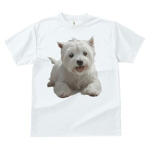 EGXgnChzCgeA TVc  j[NfUCfB[X t@  t vg lJWA 킢 lԗp Mtg I ҏ΍ EGXgnChz