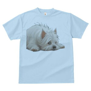 EGXgnChzCgeA TVc  j[NfUCfB[X t@  t vg lJWA 킢 lԗp Mtg I ҏ΍ EGXgnChz