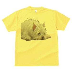 �E�G�X�g�n�C�����h�z���C�g�e���A T�V���c ���� ���j�[�N�f�U�C�����f�B�[�X ���t�@�� ���� �t�� �v�����g ��l�J�W���A�� ���킢�� �l�ԗp �M�t�g ���I �ҏ��΍� �E�G�X�g�n�C�����h�z