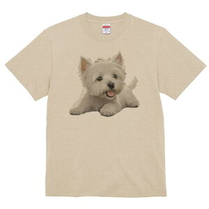 EGXgnChzCgeA TVc  j[NfUCfB[X t@  t vg lJWA 킢 lԗp Mtg I ҏ΍ EGXgnChz