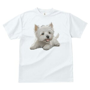 EGXgnChzCgeA TVc  j[NfUCfB[X t@  t vg lJWA 킢 lԗp Mtg I ҏ΍ EGXgnChz