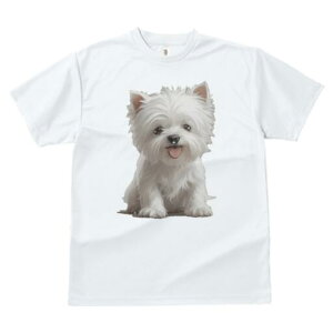 EGXgnChzCgeA TVc  j[NfUCfB[X t@  t vg lJWA 킢 lԗp Mtg I ҏ΍ EGXgnChz