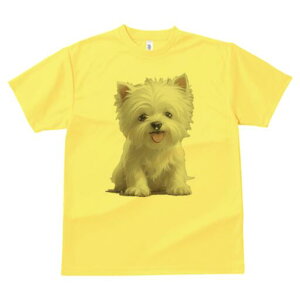 EGXgnChzCgeA TVc  j[NfUCY LbY t@  t vg lJWA 킢 lԗp Mtg I ҏ΍ EGXgnCh