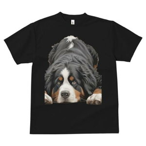 o[j[Y}EehbO TVc  j[NfUCfB[X t@  t vg lJWA 킢 lԗp Mtg I ҏ΍ o[j[Y}EehbO