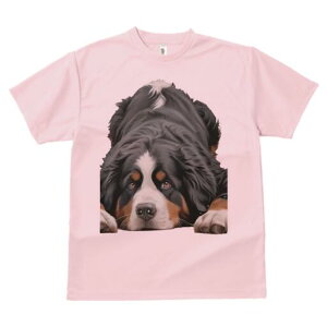 o[j[Y}EehbO TVc  j[NfUCfB[X t@  t vg lJWA 킢 lԗp Mtg I ҏ΍ o[j[Y}EehbO