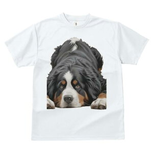 o[j[Y}EehbO TVc  j[NfUCfB[X t@  t vg lJWA 킢 lԗp Mtg I ҏ΍ o[j[Y}EehbO