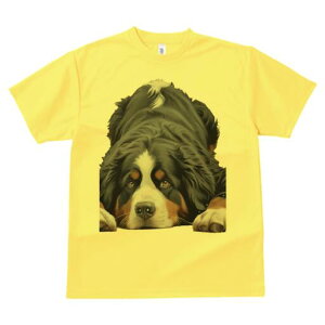 o[j[Y}EehbO TVc  j[NfUCfB[X t@  t vg lJWA 킢 lԗp Mtg I ҏ΍ o[j[Y}EehbO