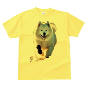 �T���G�h T�V���c ���� ���j�[�N�f�U�C�����f�B�[�X ���t�@�� ���� �t�� �v�����g ��l�J�W���A�� ���킢�� �l�ԗp �M�t�g ���I �ҏ��΍� �ӂ�ӂ� �T���G�h �Ί� ���킢�� ��