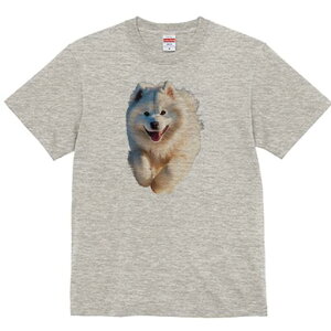 �T���G�h T�V���c ���� ���j�[�N�f�U�C�����f�B�[�X ���t�@�� ���� �t�� �v�����g ��l�J�W���A�� ���킢�� �l�ԗp �M�t�g ���I �ҏ��΍� �T���G�h