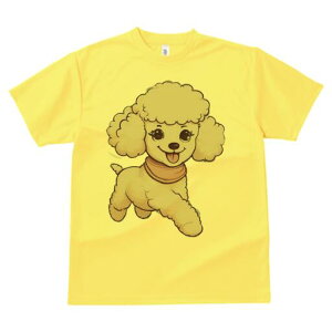 v[h TVc  j[NfUCfB[X t@  t vg lJWA 킢 lԗp Mtg I ҏ΍ XJ[t v[h