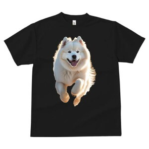 �T���G�h T�V���c ���� ���j�[�N�f�U�C�����f�B�[�X ���t�@�� ���� �t�� �v�����g ��l�J�W���A�� ���킢�� �l�ԗp �M�t�g ���I �ҏ��΍� �ӂ�ӂ� �T���G�h �Ί� ���킢�� ���D��